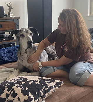 Great Dane Dog Massage Aubrey TX with Luna